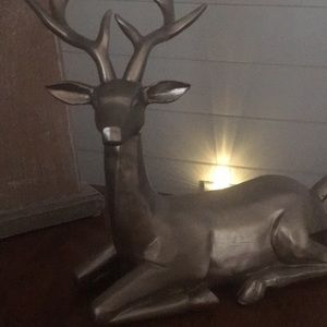 Meet your Posher, Brynn